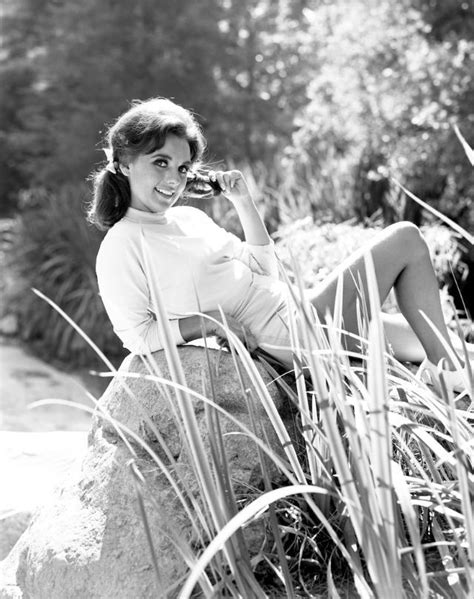 30 Portrait Photos of Dawn Wells in the 1960s